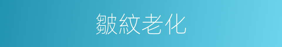 皺紋老化的同義詞