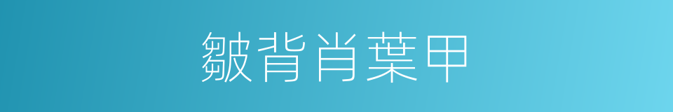 皺背肖葉甲的同義詞