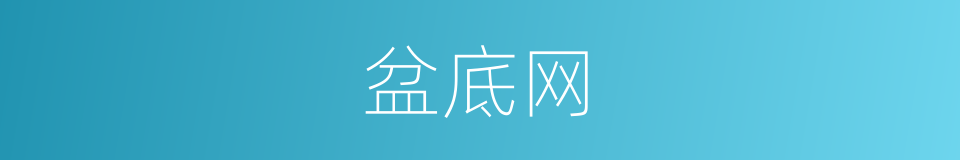 盆底网的同义词