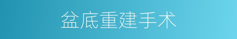 盆底重建手术的同义词