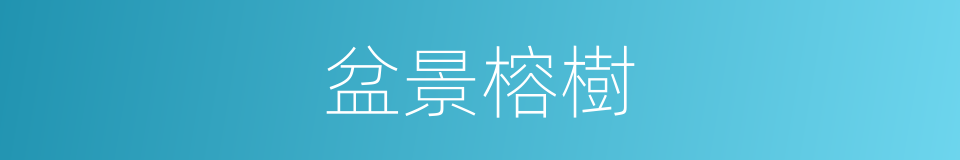 盆景榕樹的同義詞