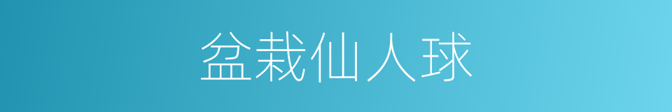盆栽仙人球的同义词