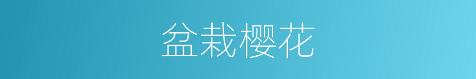 盆栽樱花的同义词