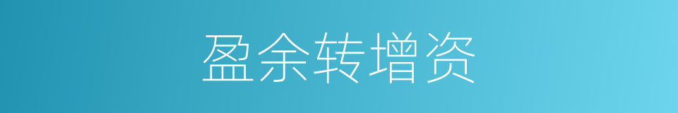 盈余转增资的同义词