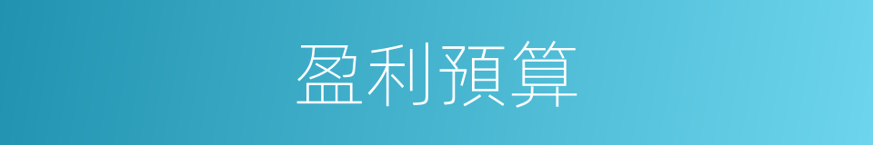 盈利預算的同義詞