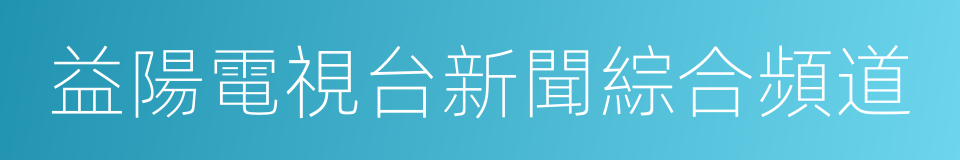 益陽電視台新聞綜合頻道的同義詞