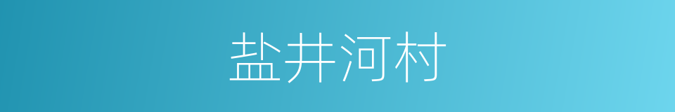 盐井河村的同义词
