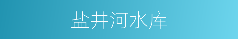 盐井河水库的同义词