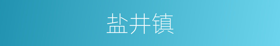 盐井镇的同义词