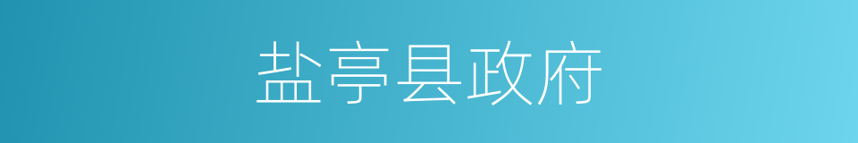 盐亭县政府的同义词