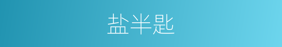 盐半匙的同义词