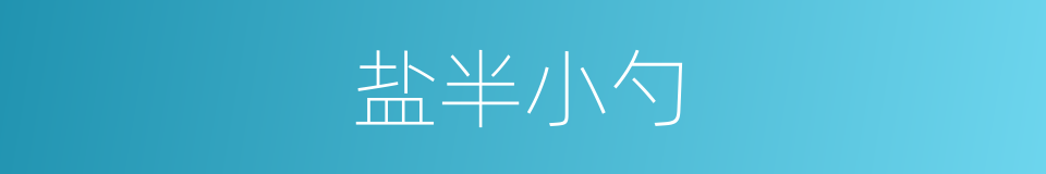 盐半小勺的同义词