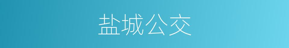 盐城公交的同义词