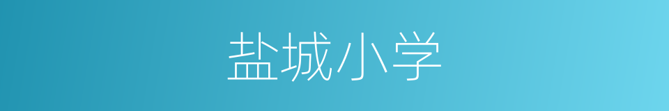 盐城小学的同义词