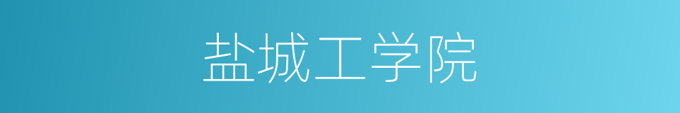 盐城工学院的同义词