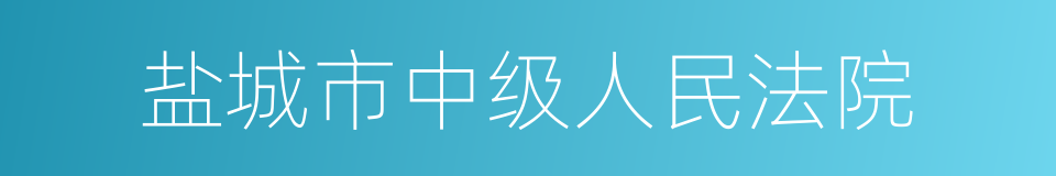 盐城市中级人民法院的同义词