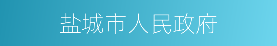 盐城市人民政府的同义词