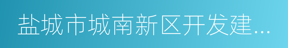 盐城市城南新区开发建设投资有限公司的同义词