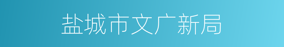 盐城市文广新局的同义词