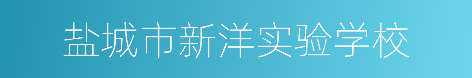 盐城市新洋实验学校的同义词