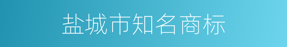 盐城市知名商标的同义词