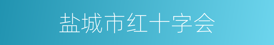 盐城市红十字会的同义词