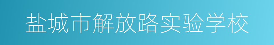 盐城市解放路实验学校的同义词