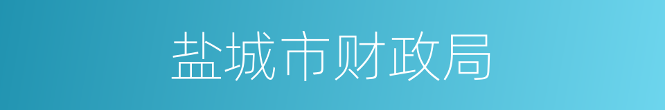 盐城市财政局的同义词