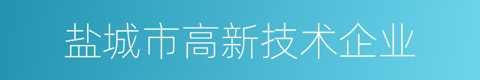 盐城市高新技术企业的同义词