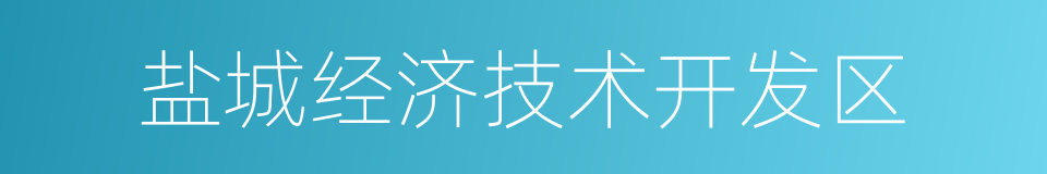 盐城经济技术开发区的同义词