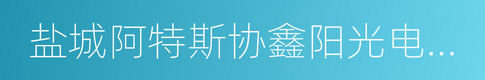 盐城阿特斯协鑫阳光电力科技有限公司的同义词