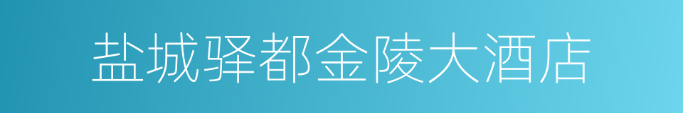 盐城驿都金陵大酒店的同义词
