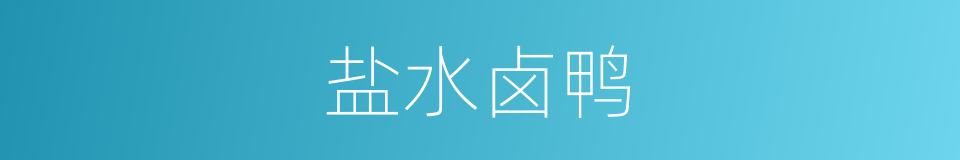 盐水卤鸭的同义词