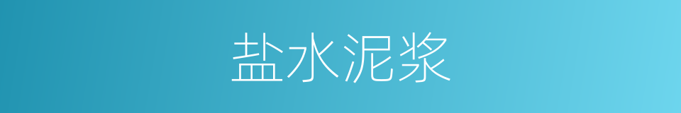 盐水泥浆的同义词