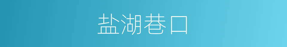 盐湖巷口的同义词