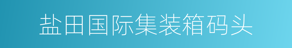 盐田国际集装箱码头的同义词