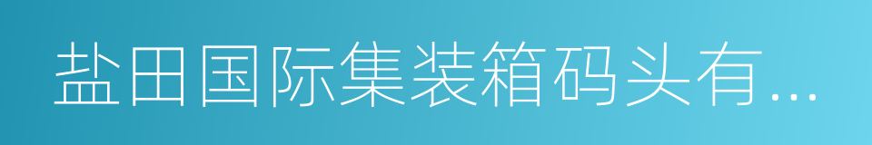 盐田国际集装箱码头有限公司的同义词