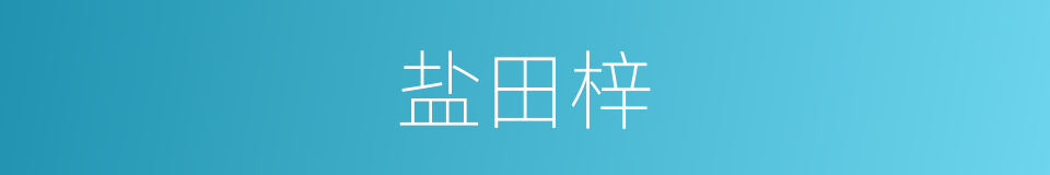 盐田梓的同义词
