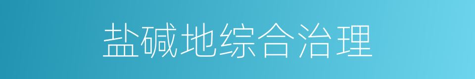盐碱地综合治理的同义词