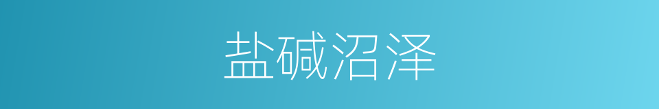 盐碱沼泽的同义词