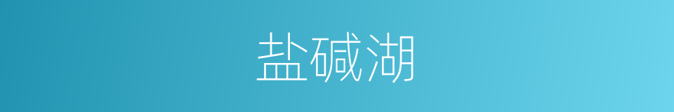 盐碱湖的同义词