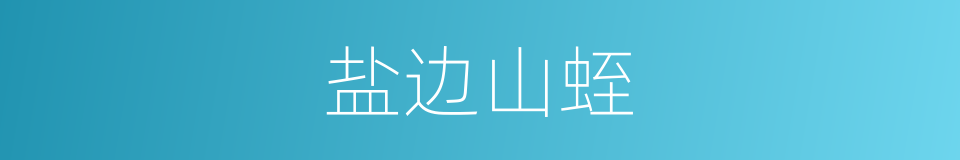 盐边山蛭的同义词