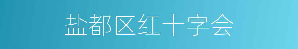 盐都区红十字会的同义词