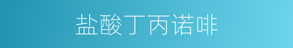 盐酸丁丙诺啡的同义词