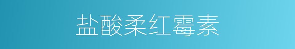 盐酸柔红霉素的同义词