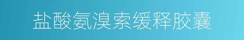 盐酸氨溴索缓释胶囊的同义词