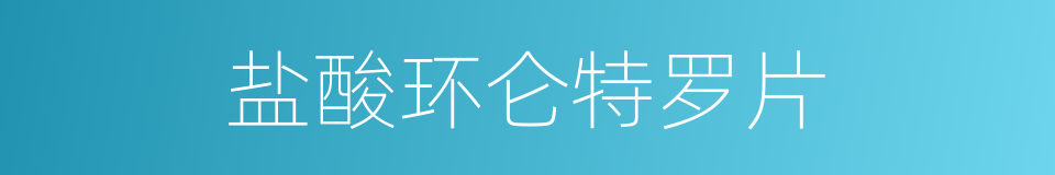 盐酸环仑特罗片的同义词