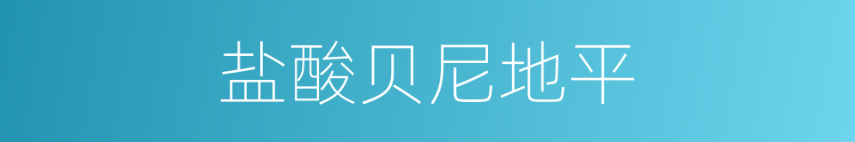 盐酸贝尼地平的同义词