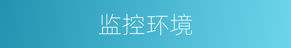 监控环境的同义词
