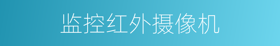 监控红外摄像机的同义词